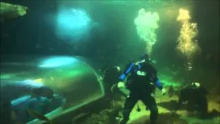 Harlem Shake (Sydney Aquarium Scuba Diving Underwater Edition)