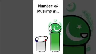 Muslim Population Per Country - RUSH E  #countryballs  #memes #geopolitics #animation #rukavov