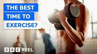 When is the best time to exercise? – BBC REEL