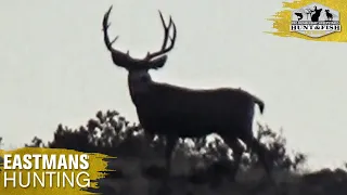 Big Bucks in Colorado - Deer Hunting