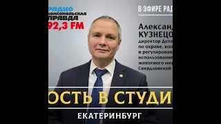 Александр Кузнецов: «В Свердловской области увеличилось количество ДТП с участием диких животных»