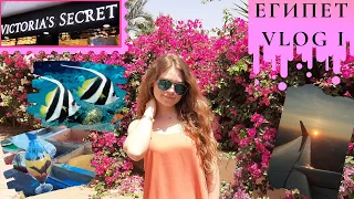 ЕГИПЕТ/VLOG ЧАСТЬ 1/ АЭРОПОРТ, DUTY FREE, ПОЛЕТ, ПЕРВЫЕ ДНИ, КОРАЛЛЫ