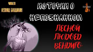 Истории о Непознанном: ЛЕСНОЙ ЛЮДОЕД ВЕНДИГО.