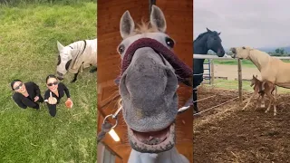 Horse TikToks That Went Viral! #11