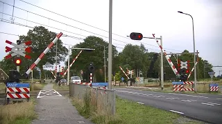 Spoorwegovergang Steenwijk // Dutch railroad crossing