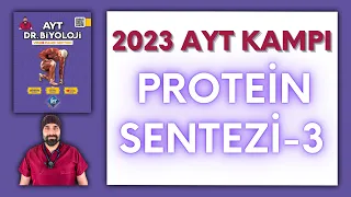 Genden Proteine-3 AYT Biyoloji Kampı Konu Anlatımı/ 12.Sınıf 2024 Tayfa