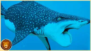 Les 15 Espèces de Requins les plus Rares Cachées dans l'Océan