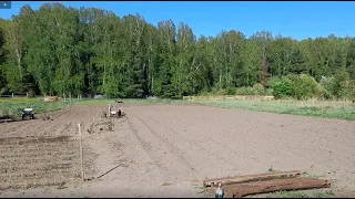 Посадил в огороде 7 культур!. Самообеспечение.