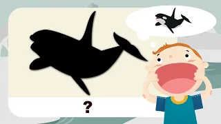 Guess the 20 North pole/South pole Animal Types for Kids | Shadow Guessing Game | Arctic  Animals