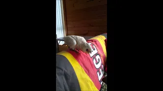 Angry Eric the cockatoo curses at his dog friend || ViralHog