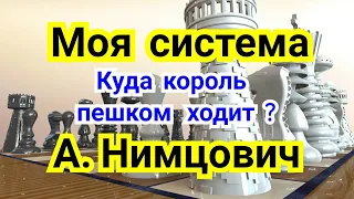 3) Лекция.  Моя система! Куда  король пешком ходит ?  А. Нимцович.