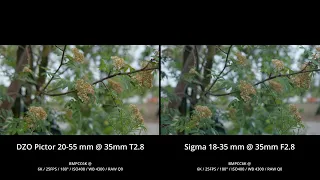 TEST | DZO Pictor 20-55 mm vs SIGMA 18-35 mm | BMPCC6K (4K)