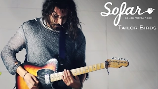 Tailor Birds - Puppet Maker | Sofar Melbourne