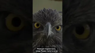 Реакция подписчика, когда стример тупит 😁