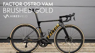 Factor OSTRO Vam Brushed Gold