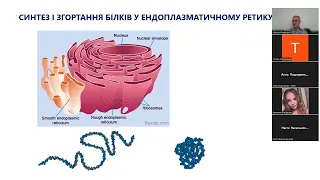 Лекція Клінічна фармакологія противірусних та протигрибкових засобів