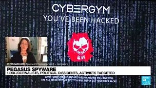 1,000 journalists,politicians and activists targeted by Pegasus spyware • FRANCE 24 English