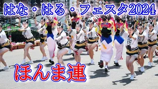 【阿波踊り2024】はなはるフェスタ2024　ほんま連