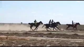 Аламан бәйге Сисем ата 1 орын Қоянқаска 14.09.2019