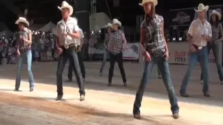 West Party line dance - WILD COUNTRY - Voghera Country Festival 2010