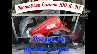 Мотоблок Салют 100 К-М1 с двигателем Kohler/распаковка/первый запуск