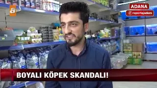 Köpeğin Dip Boyasını Yapan Petshop   Röportaj Adam