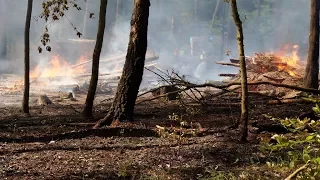 Waldbrand im Amt Gransee, Feuerwehren im Großeinsatz