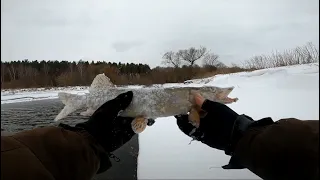 Рыбалка на щуку р. Упа Зимняя рыбалка в Тульской обл. /щука на джиг