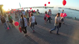 Днепропетровск 1071 Партия Шария Акция Финальная Самая Масштабная #яшарий #яшарю Анатолий Шарий