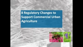 Food for Thought: Urban Agriculture and Resiliency (Kristina Bouris)