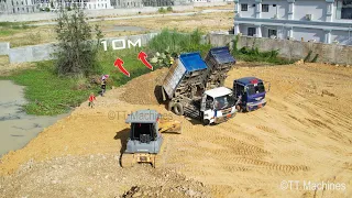 New Action Part7 The best Operator Skills Dump Trucks 5Ton & Bulldozer Spreading Stone Into Water