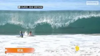 Shark photobombs California surfers