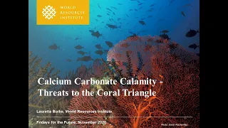 Climate Controversies in SEA: Calcium Carbonate Calamity - Threats to the Coral Triangle