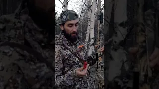 Тяга весна. Видел 20 птиц. Какими патронами стрелять.🎯 #охота #hunting #тяга #весна