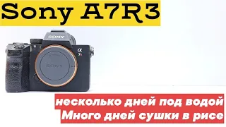 Несколько дней лежал под водой sony A7RM3