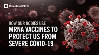How Our Bodies Use mRNA Vaccines To Protect Us From Severe COVID-19