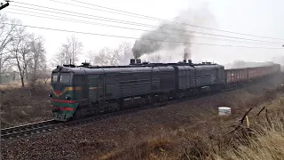 Луганка с поездом сквозь зимний туман. 2ТЭ10Л-792А/2077А.  Звук 10Д100👂. Абаклия [CFM]