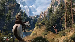 The Witcher 3: Wild Hunt part 1 | LIVE Gameplay Walkthrough - No Commentary