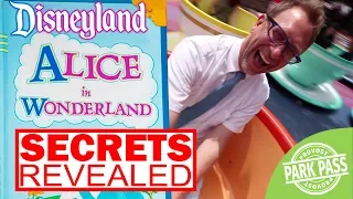 [SECRETS REVEALED] Alice In Wonderland AND Tea Cups Disneyland