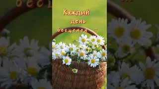 Утра Светлого и Приятного! А Вам Ромашки передали..!🌞🌼🌿🦋