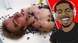 MrBeast is a SUPER VILLAIN!!! - (Face your Fears, Win $800,000)