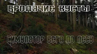 ARMA 2:OA DAYZ MOD - ЖИВЫЕ КУСТЫ / СИМУЛЯТОР БЕГА ПО ЛЕСУ