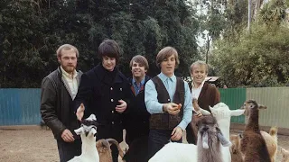 The Beach Boys - God Only Knows - Isolated Lead Vocals