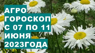 Агрогороскоп з 07 до 11 червня 2023 року. Агрогороскоп з 07 по 11 червня 2023 року