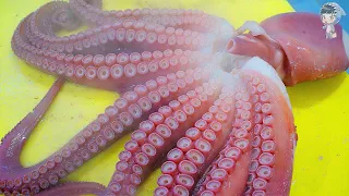 KOREAN STREET FOOD GIANT OCTOPUS DEVIL FISH KOREA SEAFOOD MARKET 포항 송도활어회센터 문어 020322