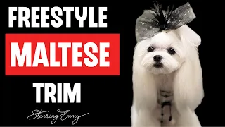 Maltese Styling. How to groom a Maltese in a Freestyle Fusion haircut.