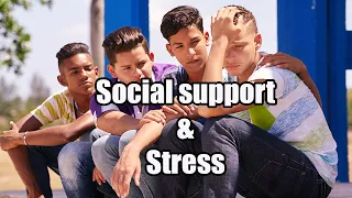 How can friends reduce your stress? IB Health Psychology