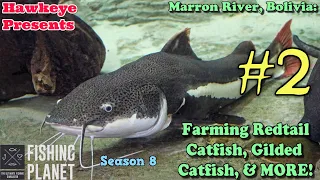 Fishing Planet #2 - S8 - Marron River, Bolivia: Farming Redtail Catfish, Gilded Catfish, & MORE!