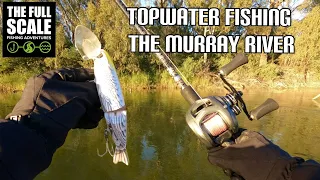 TOPWATER Fishing The Murray River | The Full Scale