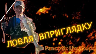 Panoptix LiveScope. Ловля вприглядку. Рыбалка в Финляндии